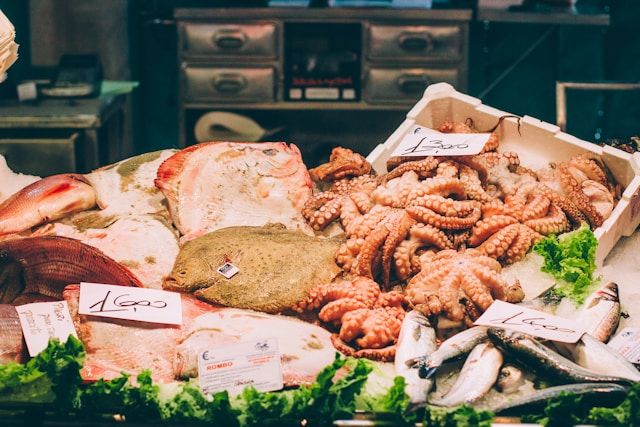 What Fish are in the Canals of Venice