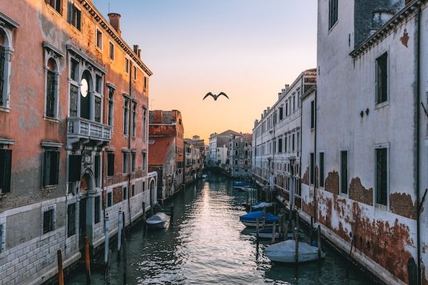 20 Outdoor Activities in Venice You Can't Miss | Venice Insider Guide